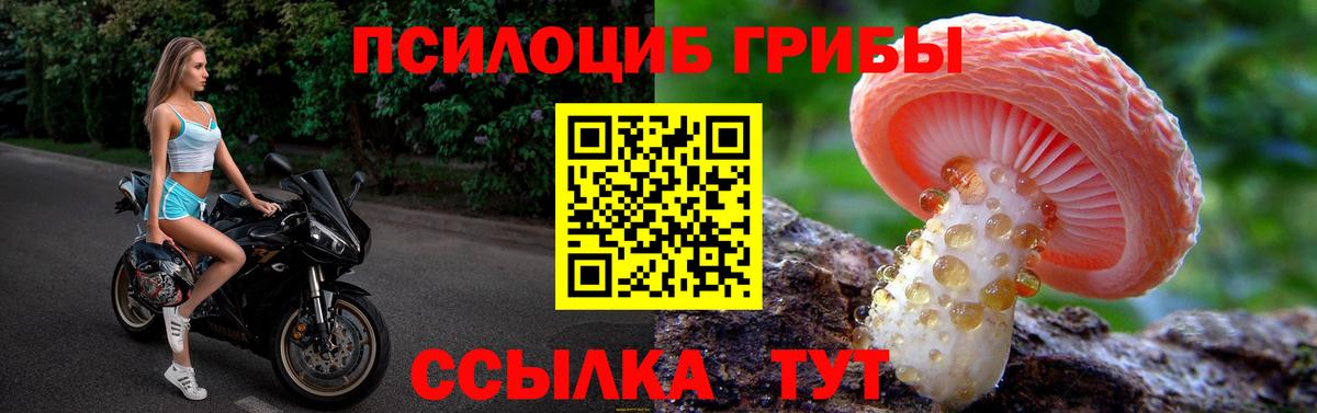Псилоцибиновые грибы Magic Shrooms Хабаровск